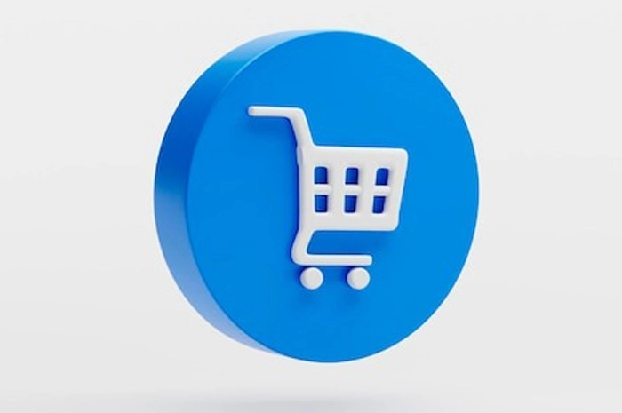 Запуск онлайн-платформы DOLPHINSPORT Custom